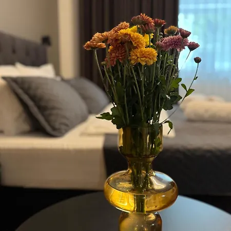 Apartment Stylish Near Old Town