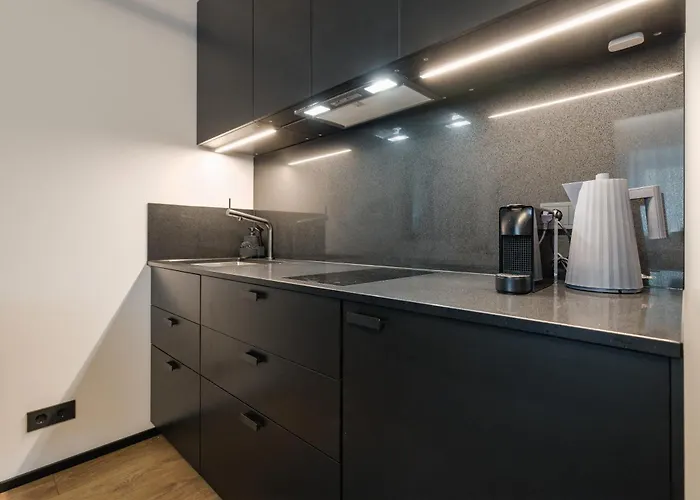 Korter Elegant 28m2 Flat Next To Old Town Tallinn